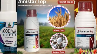 Amister Top fungicide  Godiwa Super fungicide  best fungicide for paddy  ধানের ঝলসা ও খোলা পচা । [upl. by Adnilg267]