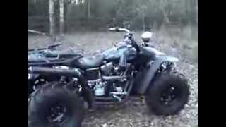 Harley 4 Wheeler [upl. by Petrine]