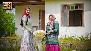 Traditional Iranian Stew with Fava Beans and Dill  Village Cooking in Gilan Iran [upl. by Monte253]