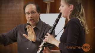 Clarinet lessons with Neidich Mozart clarinet Concerto Play With a Pro [upl. by Aiekram644]