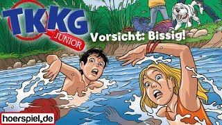 TKKG Junior  Folge 2 Vorsicht bissig [upl. by Yerbua]