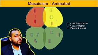 Mosaicism Basic Concepts [upl. by Havot]