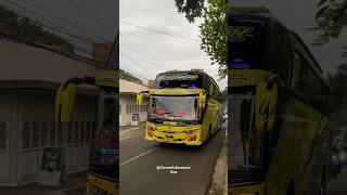 Salim dlee  Putra gresik busmania basuriairhorn basurimania basurihorn buspariwisata basuriv1 [upl. by Stanfield]