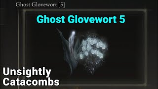 Ghost Glovewort 5 Location  Unsightly Catacombs  Elden Ring [upl. by Gwendolyn16]