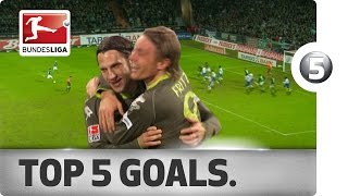 Torsten Frings  Top 5 Goals [upl. by Anilac67]