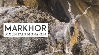 Markhor Documentary I Wildlife Documentary [upl. by Enohsal]