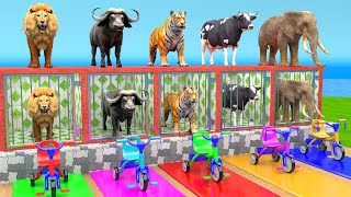 Cow Mammoth Elephant Lion Buffalo Guess The Right Key ESCAPE ROOM CHALLENGE Animals Cage Game [upl. by Eislek635]