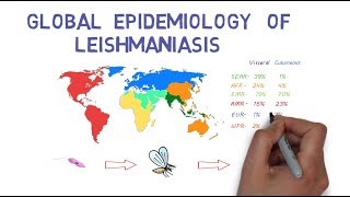 The Global Epidemiology of Leishmaniasis [upl. by Nnylrahc471]