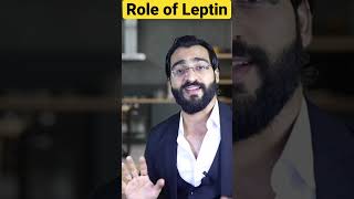 What is the role of leptin [upl. by Reamonn]