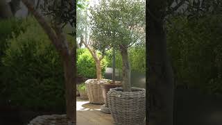 Die schönsten Balkon Ideen 🌿 und Garten Gestaltung 😍 outdoor compilation [upl. by Enogitna]