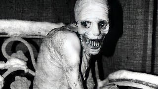 The Russian Sleep Experiment की खौफनाक सच्चाई [upl. by Fabio]