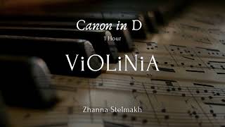 Pachelbel  Canon in D 1 Hour version by ViOLiNIA Zhanna Stelmakh [upl. by Ynnav12]