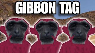 I Played Gibbon Tag Oculus Quest 2 [upl. by Milo]