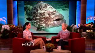 Jennifer Lawrence  The Ellen DeGeneres Show  Full interview HD [upl. by Aisenet255]