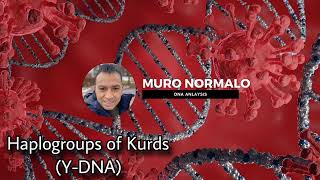 Haplogroups of Kurds YDNA [upl. by Aelram]