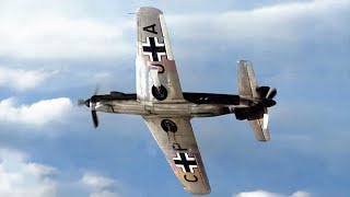 Dornier Do 335  Fastest Piston Fighter of WW2 [upl. by Adym]