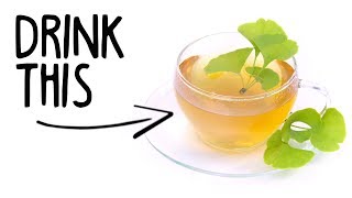 Why YOU Should Drink Ginkgo Biloba Tea [upl. by Undis375]