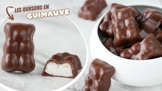 LES OURSONS GUIMAUVE et CHOCOLAT 🐻 façon CYRIL LIGNAC  Recette Facile [upl. by Ahsiei]