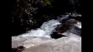 Whaleback Falls in Pisgah Forest Brevard NC [upl. by Enirehtak]