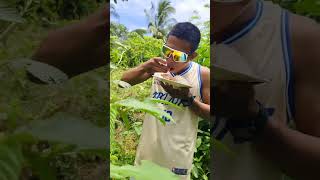 Eating Fresh vegetables salad shortsviral shortsvideo [upl. by Aimerej]