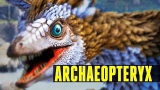 ARCHAEOPTERYX  How to tameEverything you need to know  Ark Survival Evolved Update 247 [upl. by Netsrejk601]