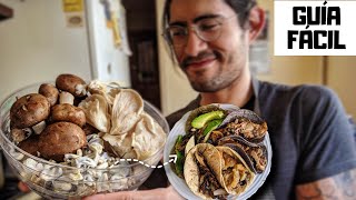 Guía Fácil Y Rápida Para Cocinar HongosChampiñón Huitlacoche Setas [upl. by Eikcin]