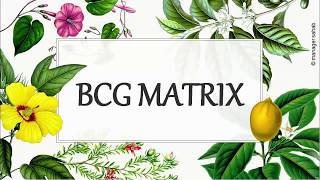 BCG Matrix  English [upl. by Airlia]