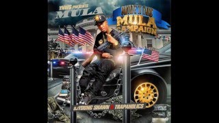 Mula  Supplying Pressure Prod By 4Feet [upl. by Eelik440]