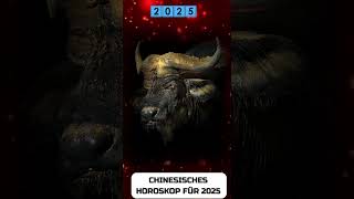 Büffel Chinesisches Horoskop für 2025 [upl. by Ybrik]