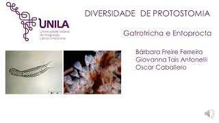 Diversidade de Protostomia  Gastrotricha e Entoprocta [upl. by Hyland]