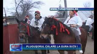 Pluguşorul călare la Gura Şuţii [upl. by Nimajneb]