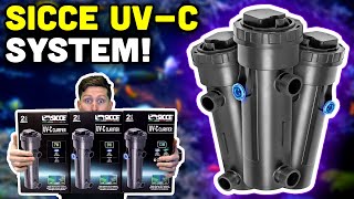 Sicce UVC Clarifiers Your Next Option for UV Treatment [upl. by Blackmun717]