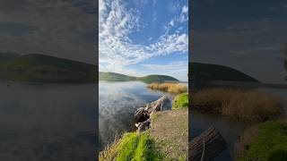 🌈Contra Loma Regional Park peaceful antioch califorina trails walks water nature outdoors [upl. by Akimet502]