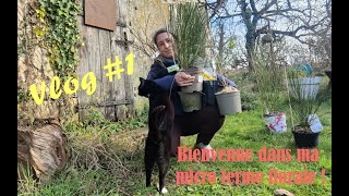 Vlog 1  Des arbustes à floraison précoce mon ancien métier et un joli oxalis [upl. by Nivloc928]