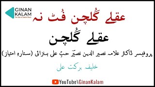 Burushaski Ginan  Aql e Gulchin by K Barkat Ali  Ginan Kalam [upl. by Stone]