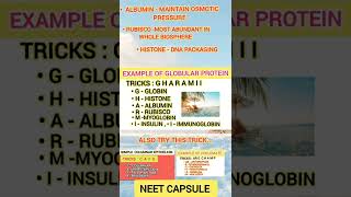 Trick to learn example of Globular protein  NEET trickforgolublarproteinbiomoleclesneetcapsule [upl. by Eannyl]