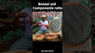 Bonsai soil components ratio gardening kitchengardenexpert herb farming kitchengardeningtips [upl. by Eelyr]