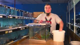 Why a Big Water Change  Do It SAFELY Like This [upl. by Conger]