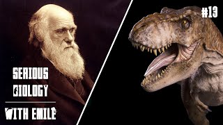 5 common misconceptions about evolution  Serious Biology 13 [upl. by Fee837]