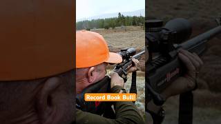 Public Land Moose Hunt with Guy Eastman [upl. by Daub663]