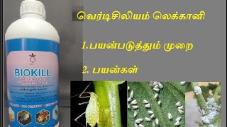 Verticillium lecanii  Omega Ecotech வெர்டிசிலியம் லெக்கானி [upl. by Colvin]