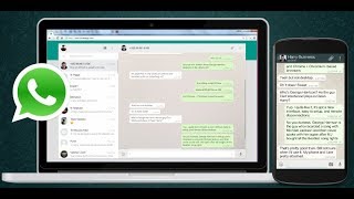 Agora é possível visualizar os Status do WhatsApp pelo PC [upl. by Darci272]