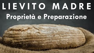 Lievito Madre o Pasta Acida  Proprietà e Preparazione [upl. by Ecidnarb]