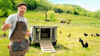 How to Get Started with Chickens Everything you need to know [upl. by Lesly]