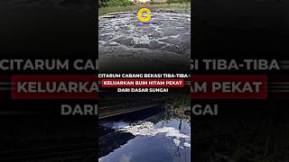 Citarum Cabang Bekasi Tibatiba Keluarkan Buih Hitam Pekat Dari Dasar Sungai [upl. by Avla]