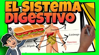 🥝 El SISTEMA DIGESTIVO del CUERPO HUMANO para NIÑOS de PRIMARIA [upl. by Amitarp]