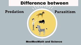 Difference between Predation and Parasitism [upl. by Chastity]