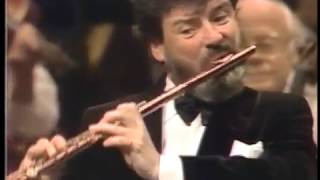 Flute Concerto in D Major No2 K314 WAMozart II and III [upl. by Ymmac]