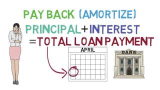 Loans 101 Loan Basics 13 [upl. by Art]