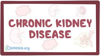 Chronic kidney disease  causes symptoms diagnosis treatment pathology [upl. by Ennairol]